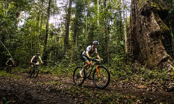 Parque Nacional do Pau Brasil atinge novo recorde de 7 mil visitantes em um único mês e se consolida como referência regional em trilhas; Veja