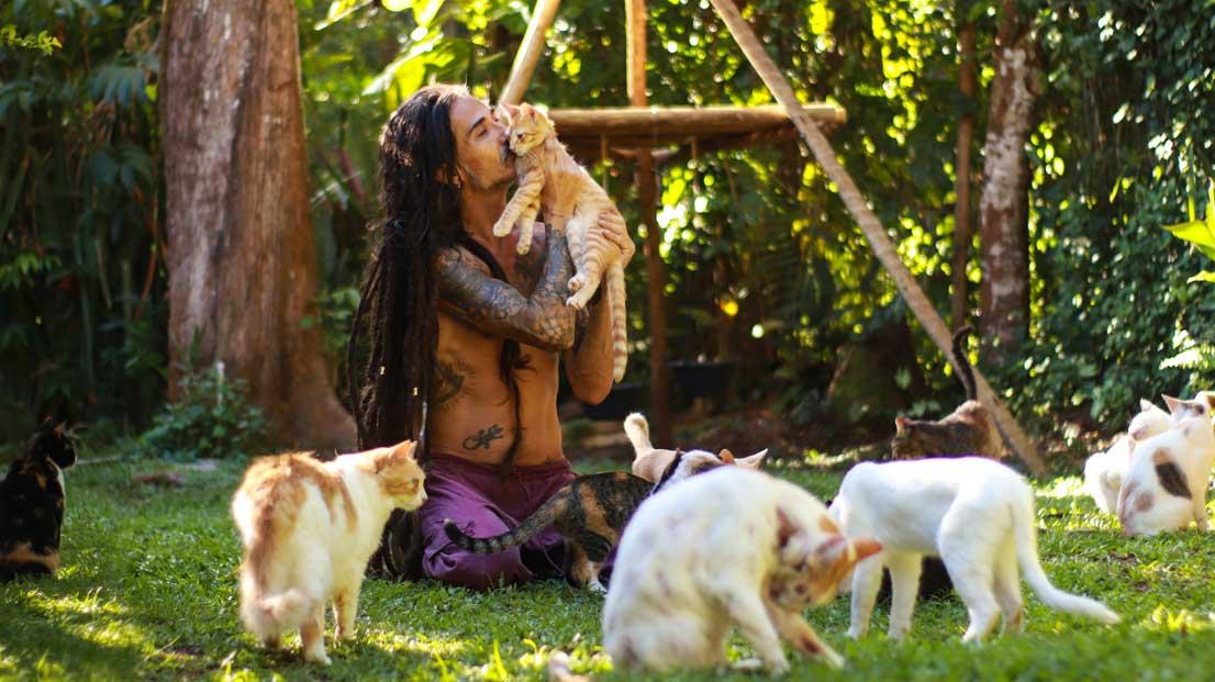 Prefeitura de Porto Seguro dificulta o resgate de animais de rua com taxa abusiva solicitada ao Instituto 