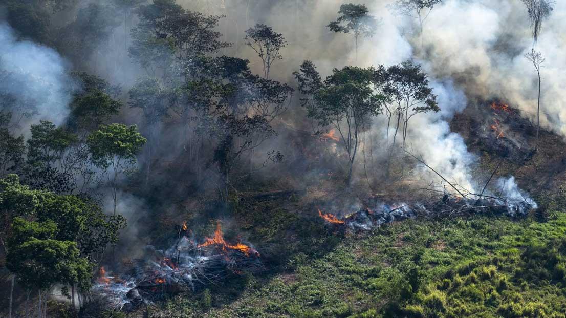 BNDES aprova R$ 187 milhões para restaurar florestas nos municípios de Eunápolis e Potiraguá