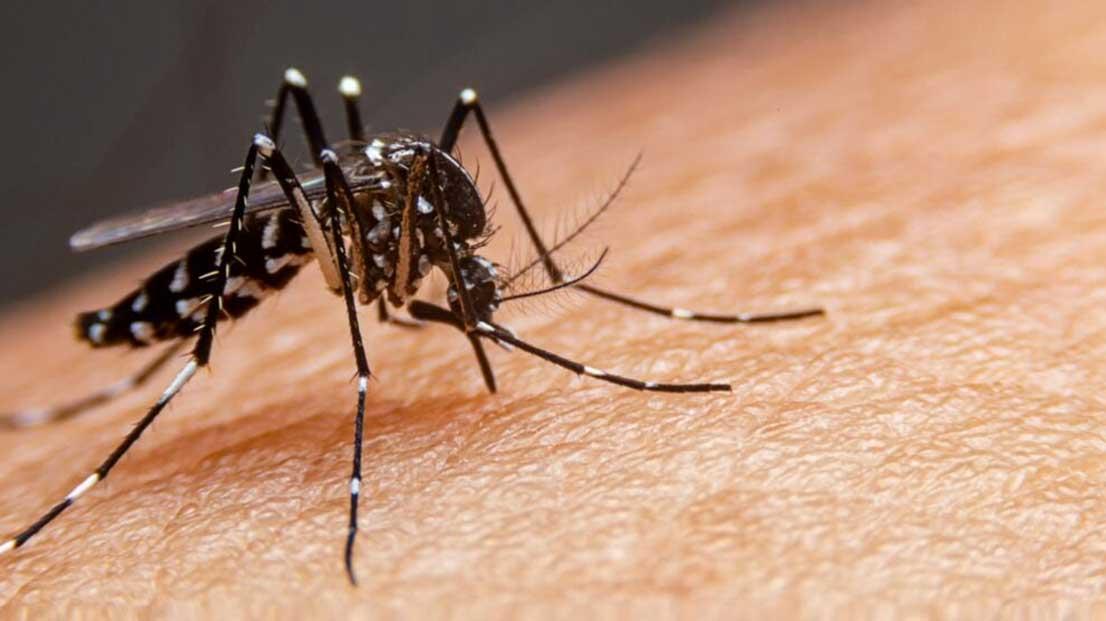 DENGUE: Porto Seguro e Cabrália está na lista dos munícipios em epidemia; Sesab confirma 9ª morte