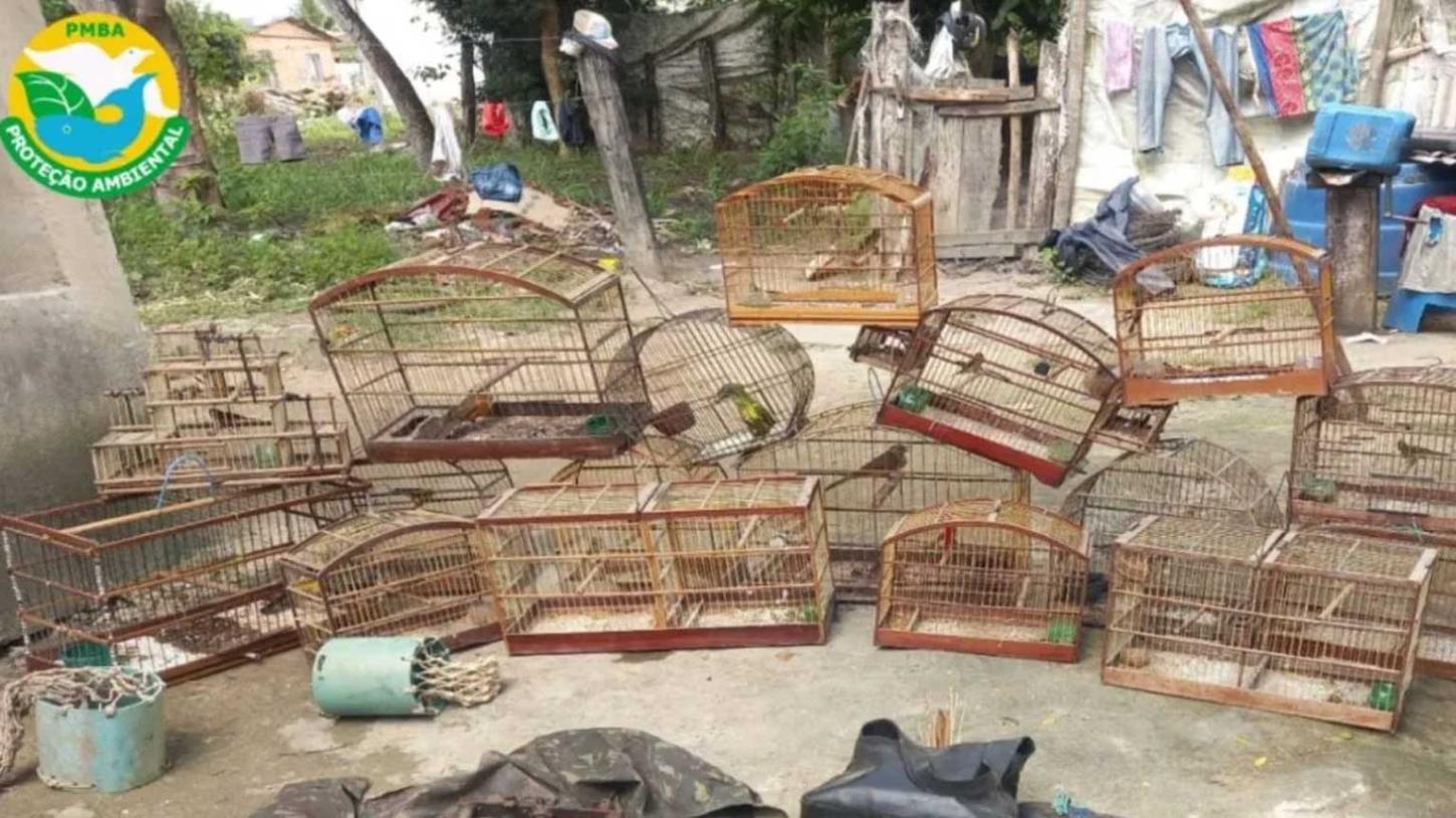 Cativeiro de animais silvestres é fechado em Santa Cruz Cabrália