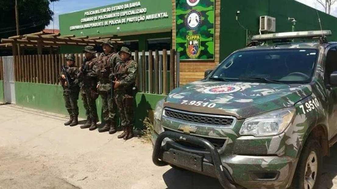 MASCOTE: Operação da CIPPA apreende pássaros, jabutis e um tatu abatido; CONFIRA