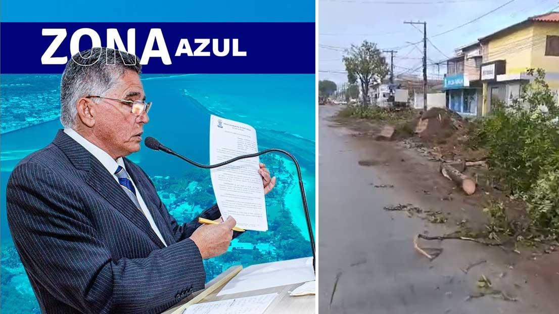 A implantação da zona azul pode ter levado à derrubada de árvores para expansão do estacionamento?