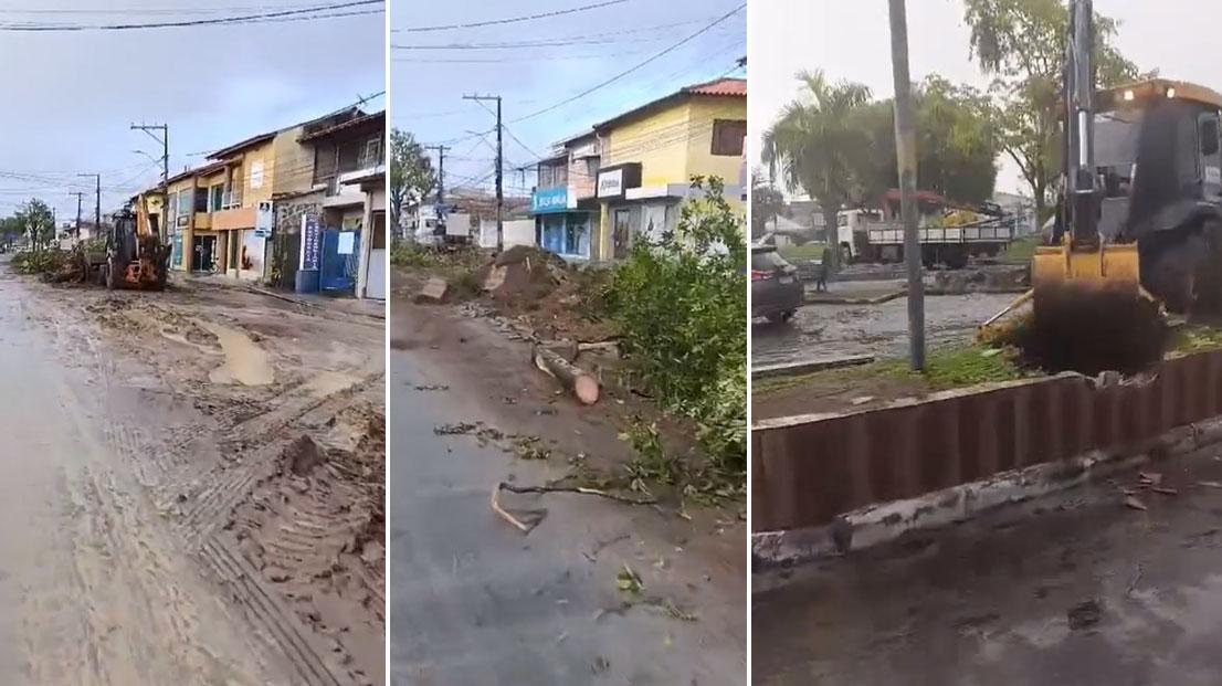 Derrubada de árvores em Porto Seguro provoca debate sobre preservação ambiental e qualidade de vida; entenda