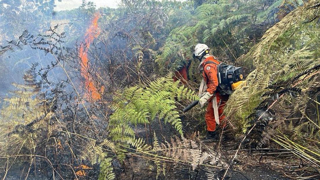 Incêndios florestais são combatidos em Santa Cruz Cabrália enquanto medidas preventivas são realizadas em bases avançadas na região