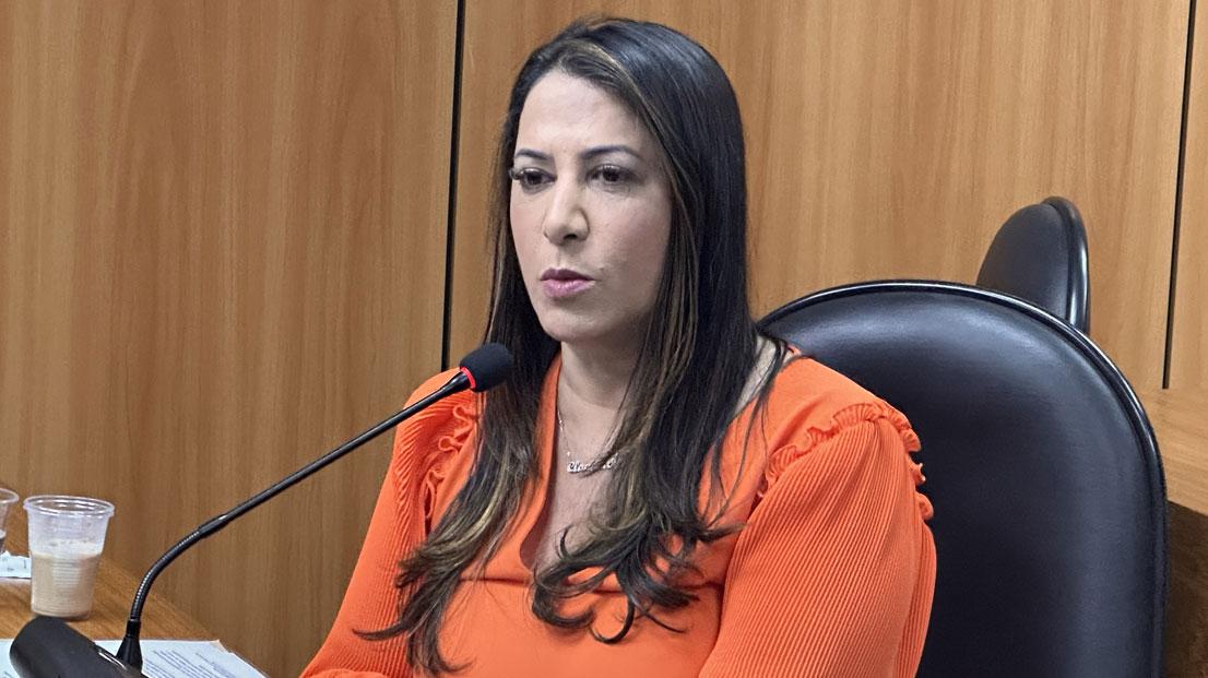 Deputada Claudia Oliveira cobra melhorias no transporte aéreo de Porto Seguro em audiência pública; Assista