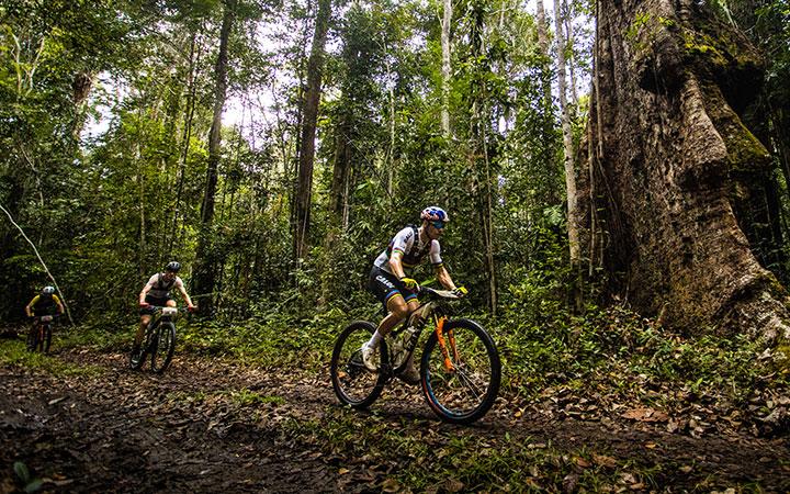 Parque Nacional do Pau Brasil atinge novo recorde de 7 mil visitantes em um único mês e se consolida como referência regional em trilhas; Veja