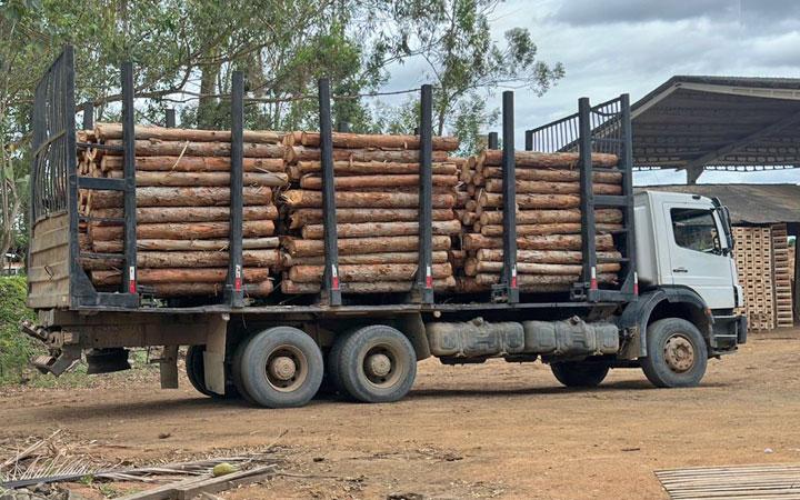  Condutor de caminhão de eucalipto com mandado de prisão em aberto é detido em Itabela; Veja