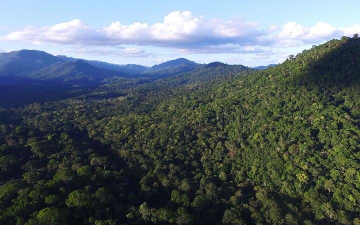 Fechado acordo para regularização fundiária de parque nacional em Porto Seguro; Confira