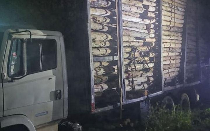 Dois homens são conduzidos após apreensão de caminhão com madeira em Itabela; Veja