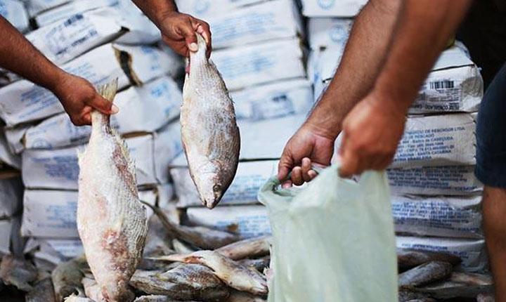 Prefeitura de Mascote anuncia distribuição de 7 toneladas de peixe na Semana Santa; Veja