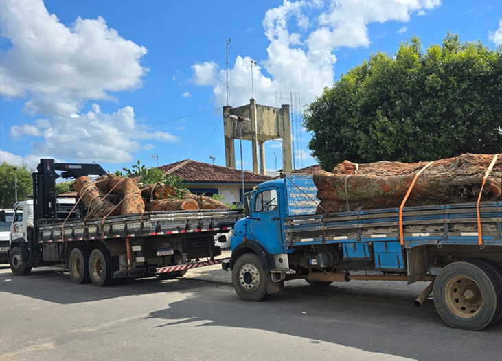 Polícia militar prende três homens suspeitos de furto de madeira e apreende caminhões em Teixeira de Freitas
