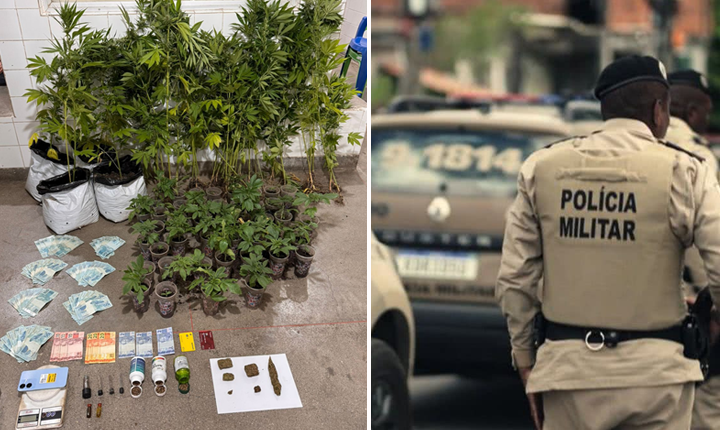 Polícia Militar realiza grande apreensão de maconha em Belmonte