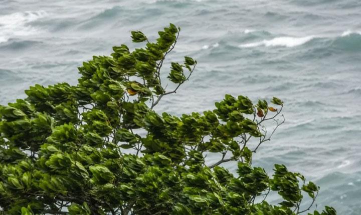 Marinha alerta para ventos de até 60 km/h na faixa litorânea da Bahia entre Porto Seguro e Salvador 