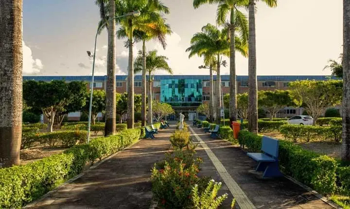 Alunos de Medicina denunciam supostas retaliações e reprovações em massa em faculdade de Eunápolis