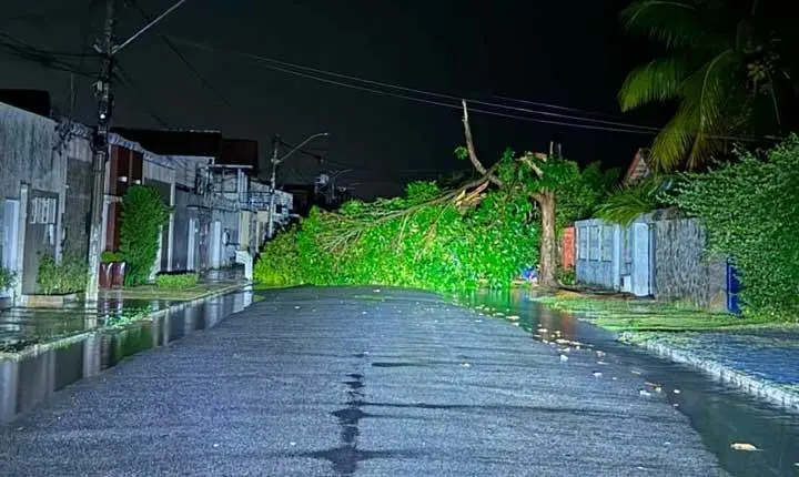 Após noite de destruição, Eunápolis segue em alerta para novas tempestades nesta quarta-feira (14); Confira