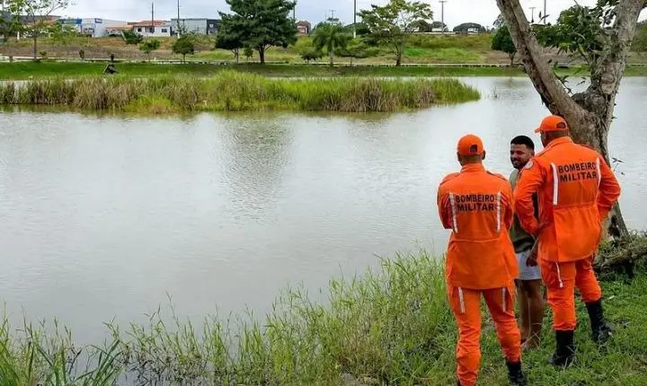 Cães que fugiram durante a madrugada em Eunápolis são localizados ilhados em lagoa e resgatados; Veja