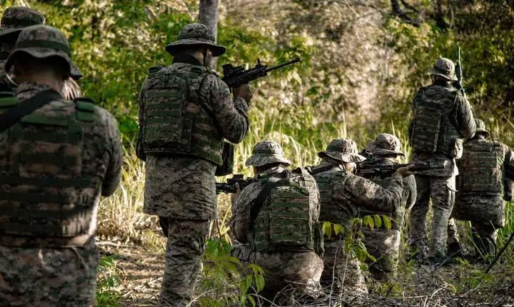 CIPE/Mata Atlântica neutraliza suspeito e apreende fuzil durante operação na zona rural de Pindorama em Porto Seguro