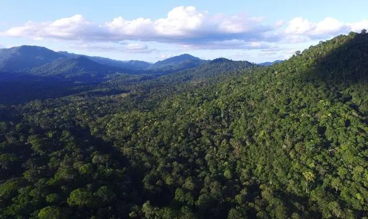 Fechado acordo para regularização fundiária de parque nacional em Porto Seguro; Confira