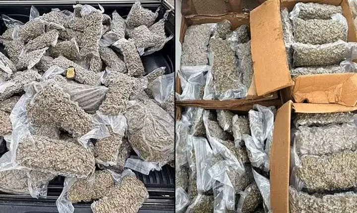Homem é preso pela polícia fedeal com mais de 100 kg de maconha em Itabela