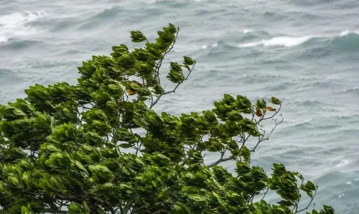 Marinha alerta para ventos de até 60 km/h na faixa litorânea da Bahia entre Porto Seguro e Salvador 