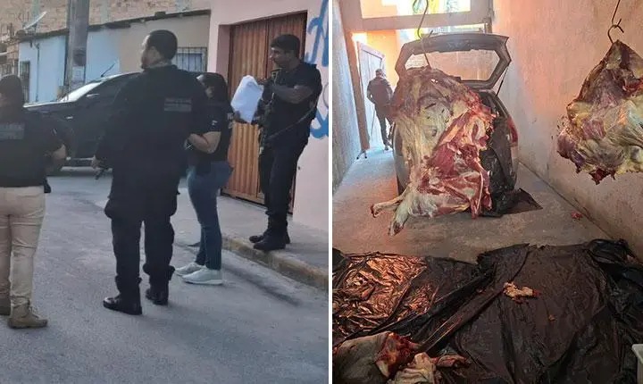 Polícia Civil prende 11 suspeitos de roubar gado em oito municípios do Extremo Sul da Bahia; Veja as imagens