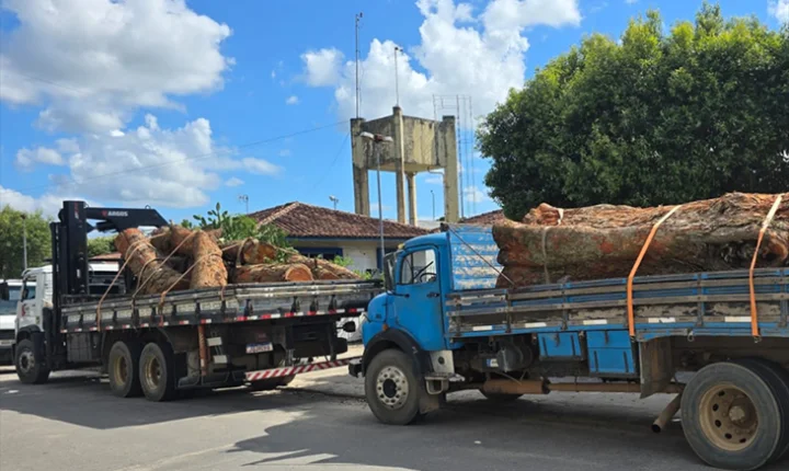 Polícia militar prende três homens suspeitos de furto de madeira e apreende caminhões em Teixeira de Freitas