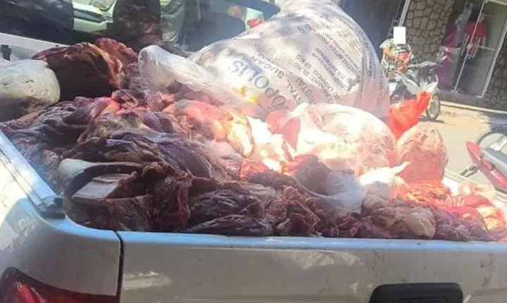 População cobra providências após denúncias sobre transporte irregular de carnes em Canavieiras