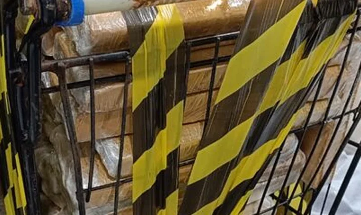 PRF prende morador de Porto Seguro e dois mineiros com mais de 60 quilos de maconha destinados à Bahia