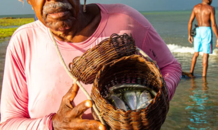 Projeto “Água Vida” volta à Bahia com ações de reflorestamento e educação ambiental com foco em Caraíva, Corumbau e Trancoso.